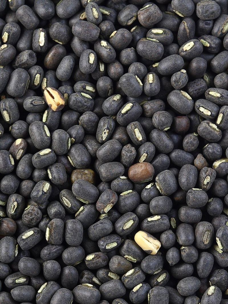 Black Gram Seeds 500g