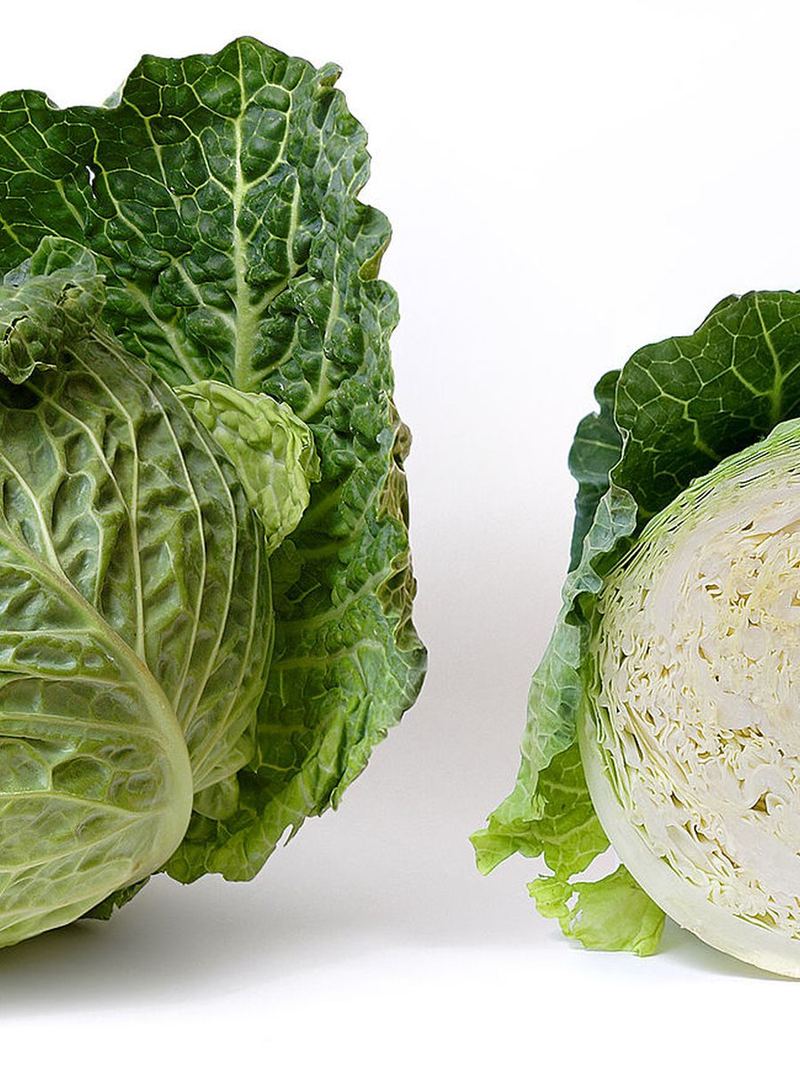 Cabbage Seeds 25g