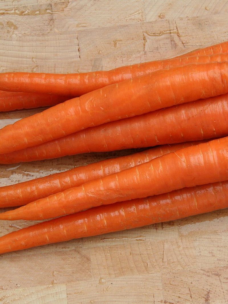 Carrot Seeds 25g