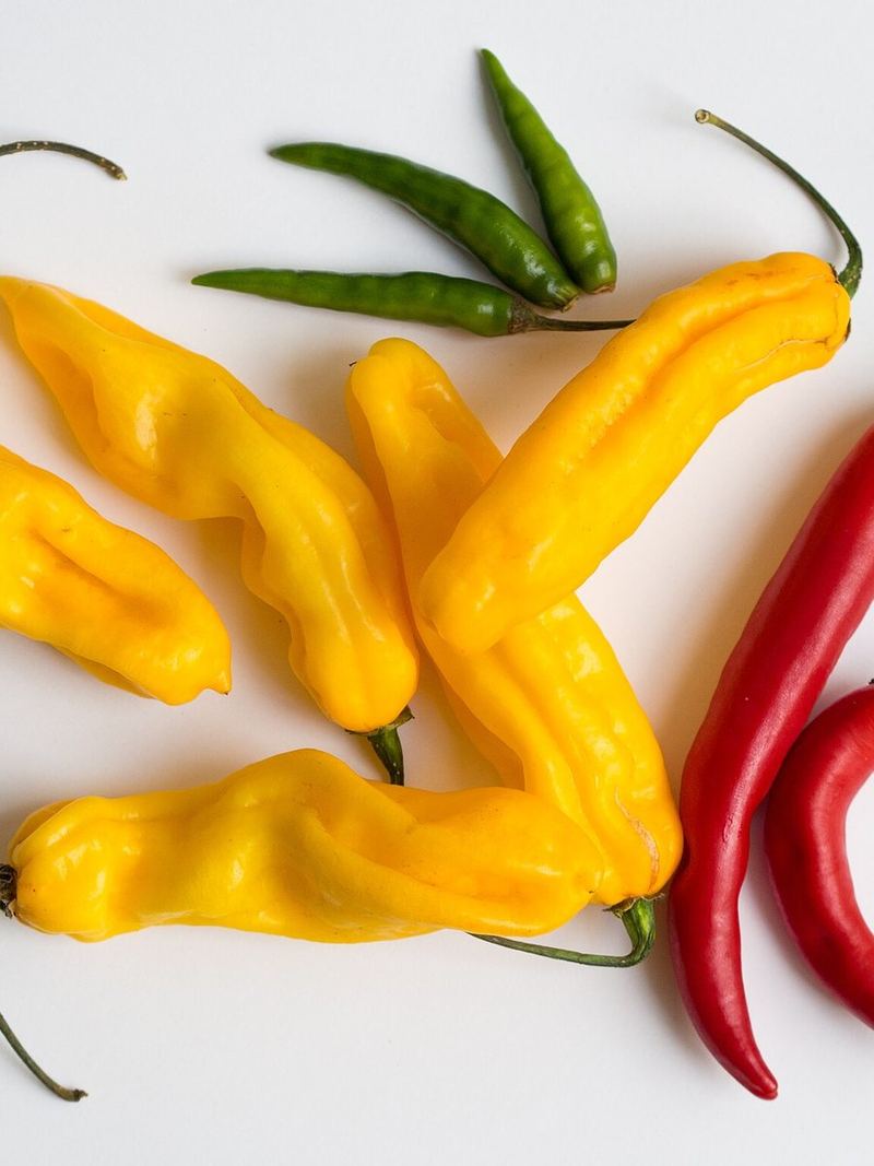 Chilli Seeds 25g