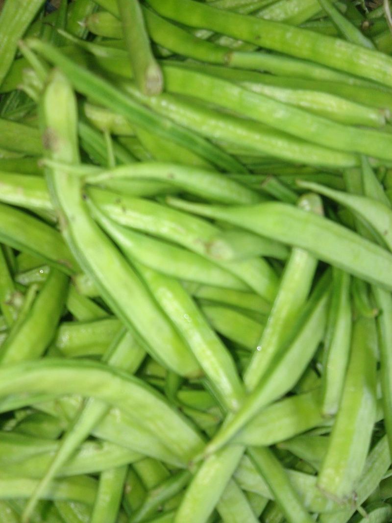 Cluster Beans Seeds 25g