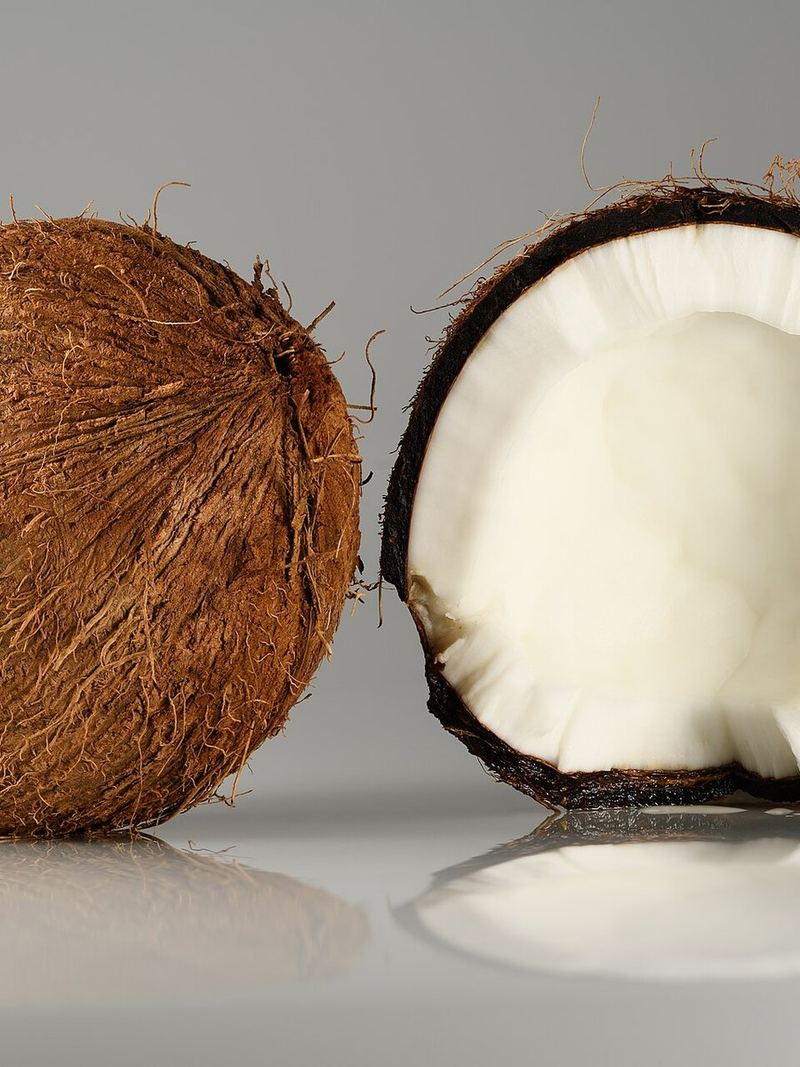 Coconut Seedling Seeds 10 Seeds