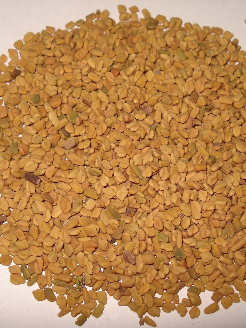 Fenugreek Seeds 25g