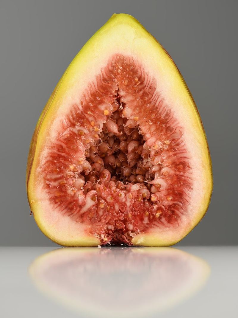 Fig Seeds 10 Seeds