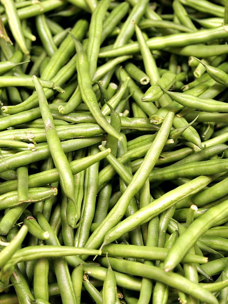 French Beans Seeds 25g