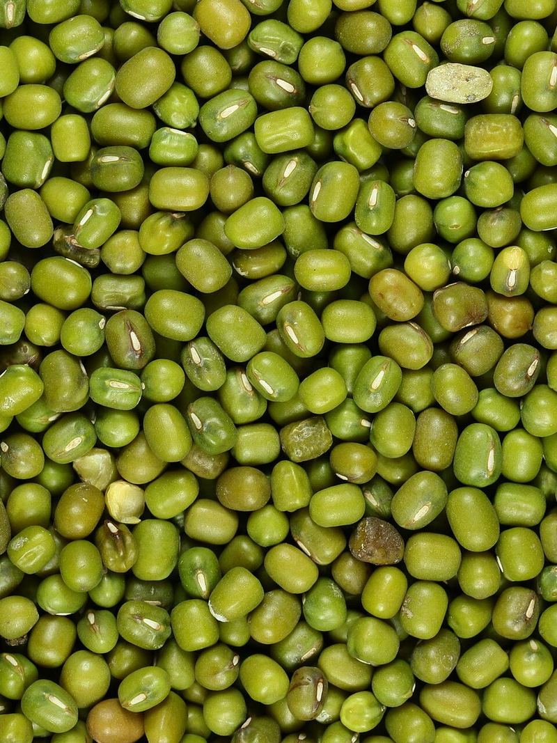 Green Gram Seeds 500g