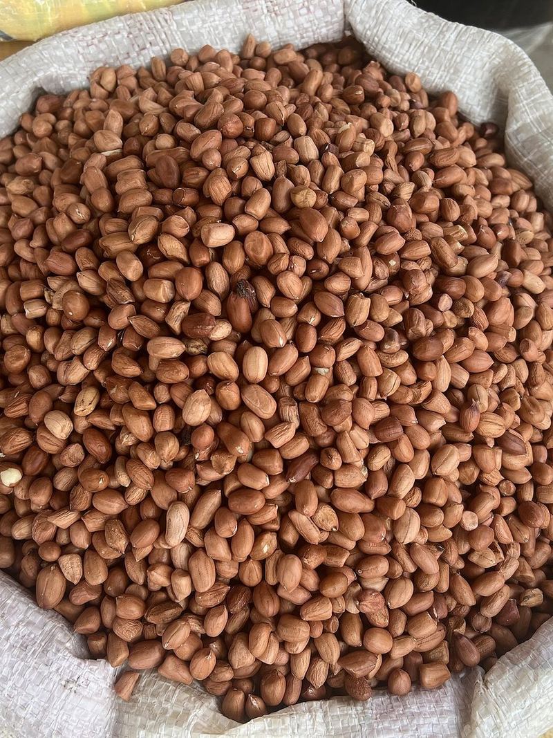 Groundnut Seeds 500g
