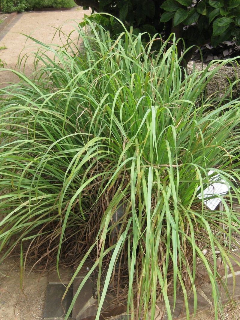 Lemongrass Small Nursery Bag
