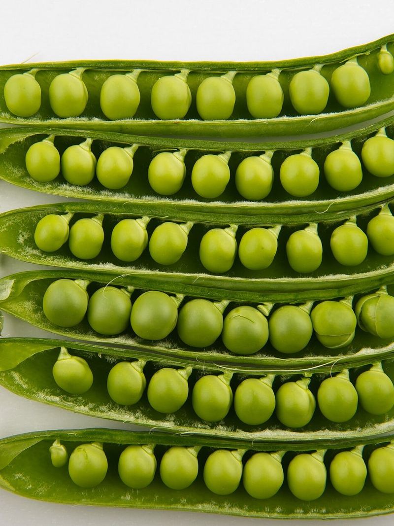 Peas Seeds 25g