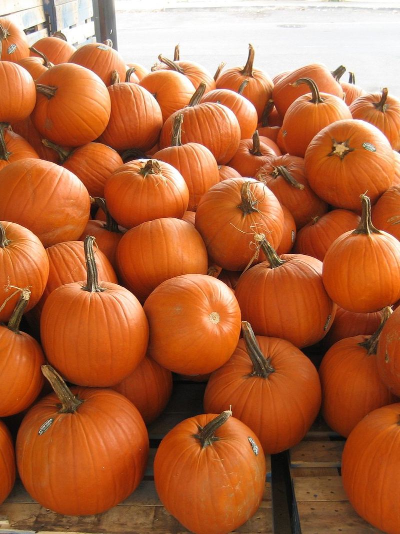 Pumpkin Seeds 25g