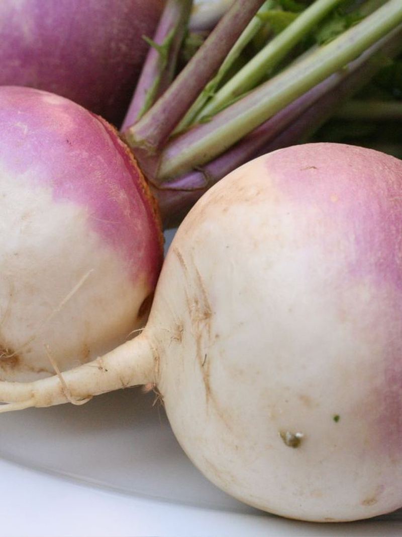 Turnip Seeds 25g