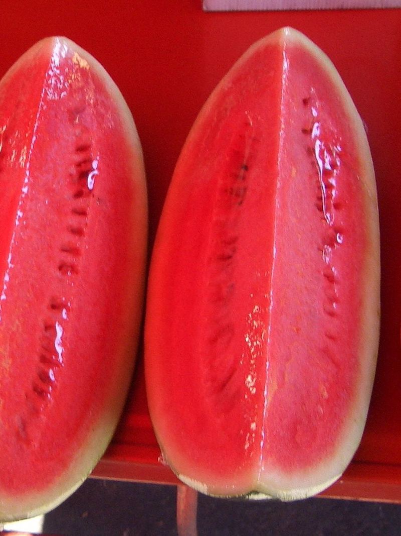 Watermelon Seeds 10 Seeds