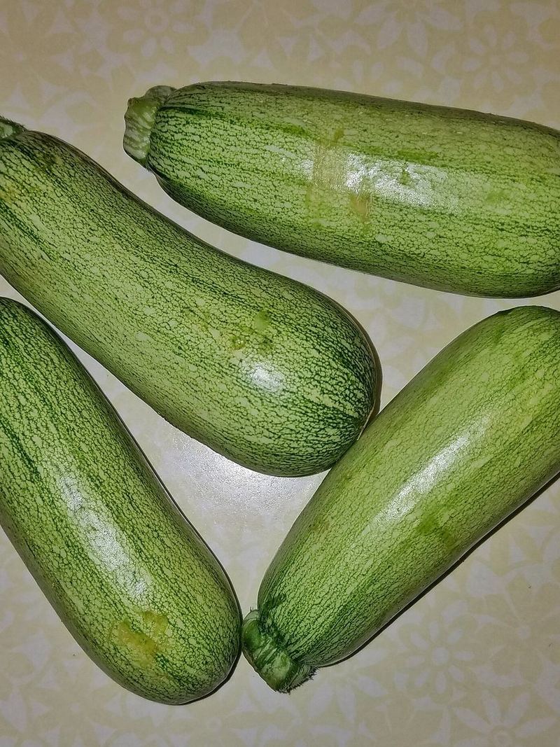 Zucchini Seeds 25g